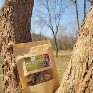 Dried Apricots – Sweet from Nature, Healthy for You